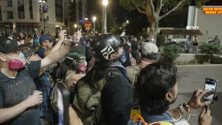 Portland Protester’s Dramatic Shift from Defiance to Fear Upon Arrest