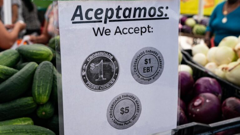 Pressure Mounts on Democrats as Government Shutdown Threatens Air Travel and Federal Workers