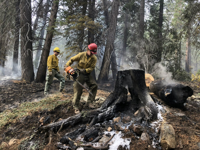Government Shutdown Threatens Wildfire Prevention Efforts as GOP Warns of Escalating Risks