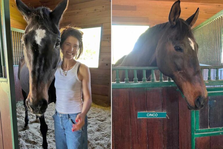 Katherine Schwarzenegger Says Emotional Farewell to Beloved Horse Cinco After 24-Year Bond