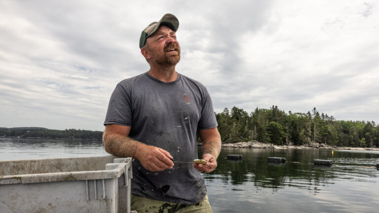 Hypocrisy in Politics: A Candidate with a Nazi Tattoo Rises