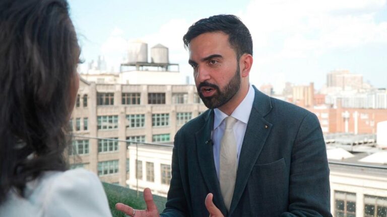 Zohran Mamdani Faces Legal Challenge Over Potential Mayoral Bid Amid Controversial Statements