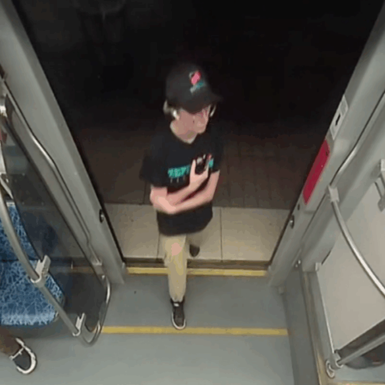 Illegal Immigrant Accused of Stabbing Two Teens on U.S. Flight