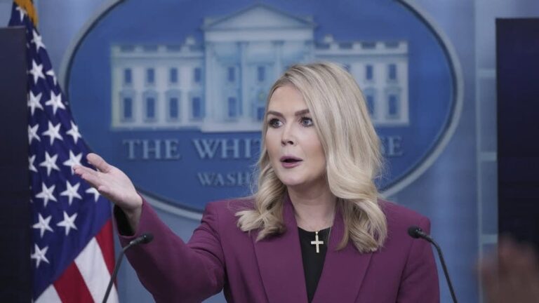 White House Press Secretary Karoline Leavitt Criticizes Liberal Media for Parroting False Democratic Talking Points