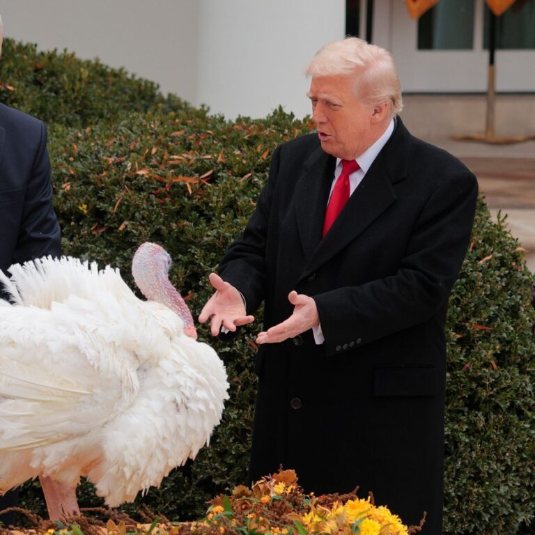 Trump Announces Turkey Pardons Amid Autopen Controversy