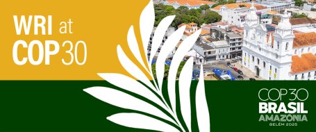 标题：大学橄榄球转会风波引发国会关注，Chip Roy发声批评体育商业化过度