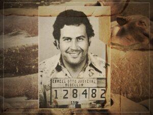 Colombian Hippos: A Crisis from Escobar’s Private Zoo