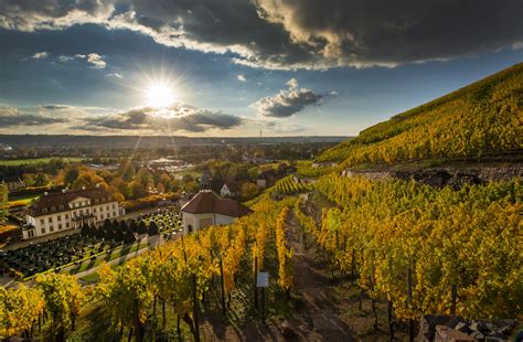 Germany’s Oldest Winery Faces Bankruptcy by 2027 in Deepening Wine Crisis